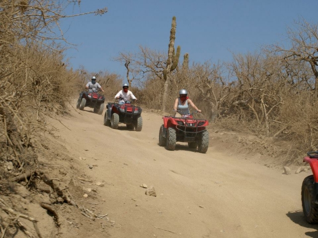 Amigos Atvs